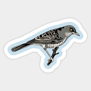 Barred Warbler Sticker